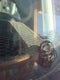 2024 Jeep Wrangler 4xe Willys 4xe