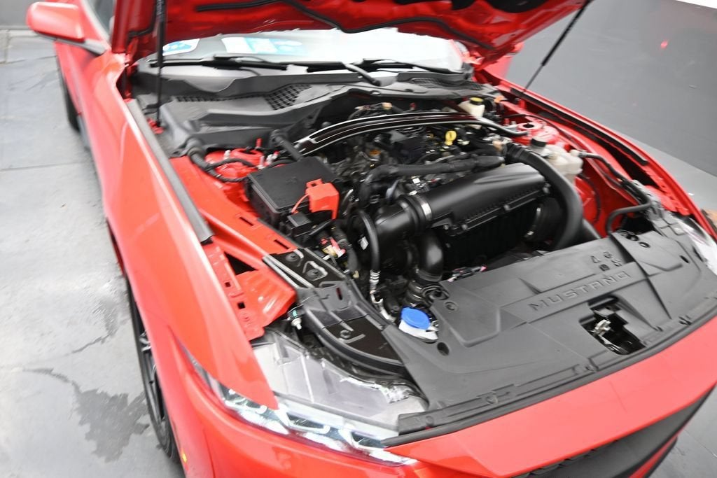2024 Ford Mustang EcoBoost Convertible