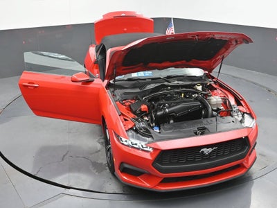 2024 Ford Mustang EcoBoost Convertible