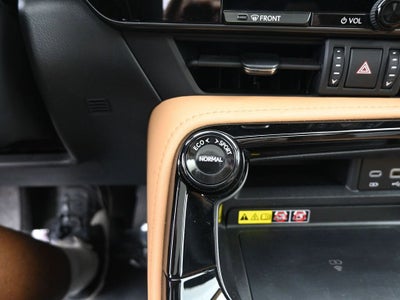 2025 Lexus NX NX 250 Premium