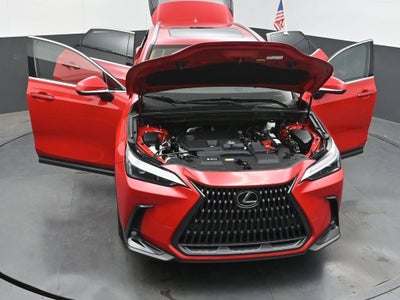 2025 Lexus NX NX 250 Premium