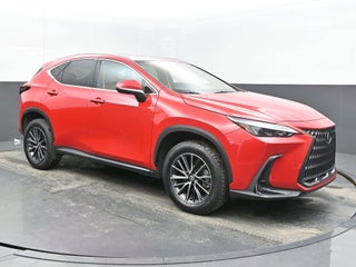 2025 Lexus NX NX 250 Premium